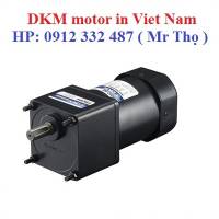 9RDGE-120FP - Động cơ đảo chiều nhanh