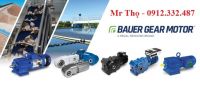 Động cơ BAUER Gear motor