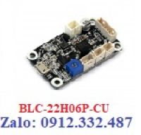 BLC-22H06P-CU