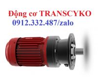 THVM10S-615-11 Động cơ Transcyko