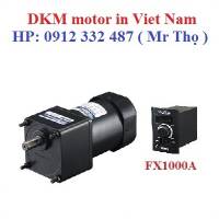 Model đời cũ DKM motor