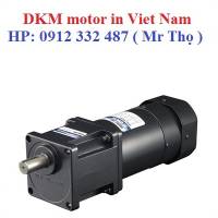 Model đời cũ DKM motor