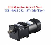 9IDGG-200FH  9IDGK-200FH Đại lý DKM Việt Nam